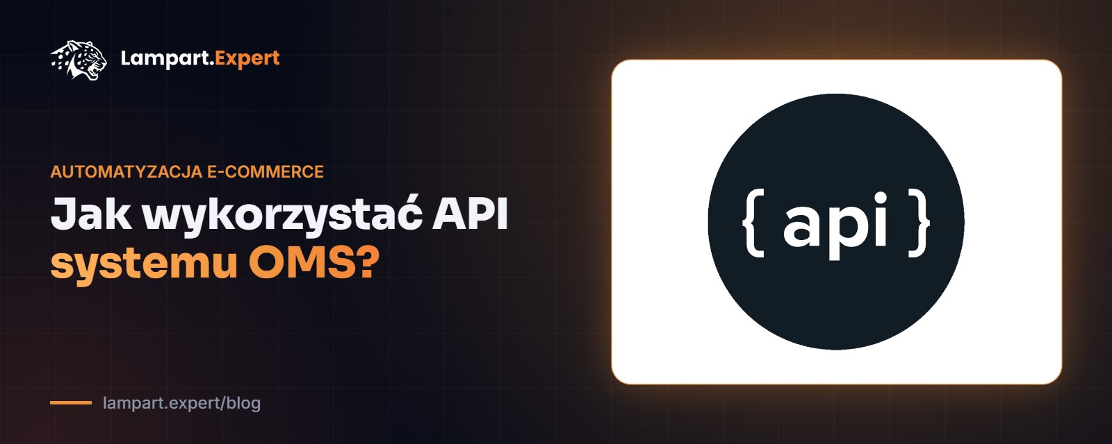 Jak wykorzystać API systemu OMS – blog Lampart.Expert